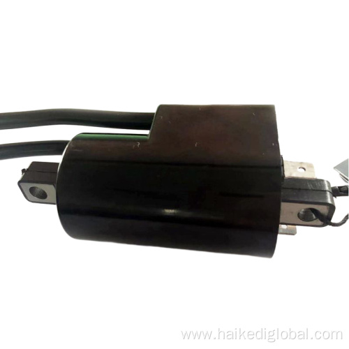 Double head high pressure pack igniter